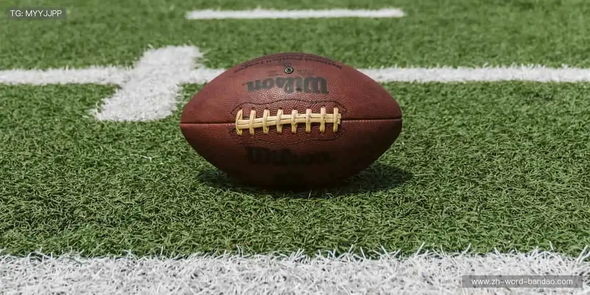 🌍全球体育，一网打尽！从赛场到生活，运动永不落幕✨