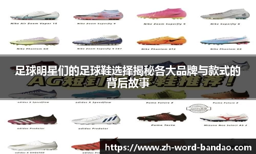  半岛网直播